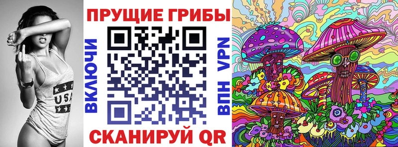 darknet клад  МЕГА ССЫЛКА  Псилоцибиновые грибы Cubensis  Верея  сколько стоит 