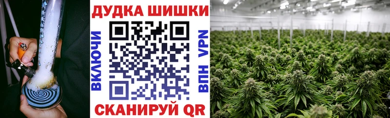 Бошки Шишки семена Верея