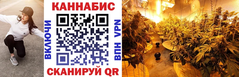 Каннабис Amnesia  Верея 